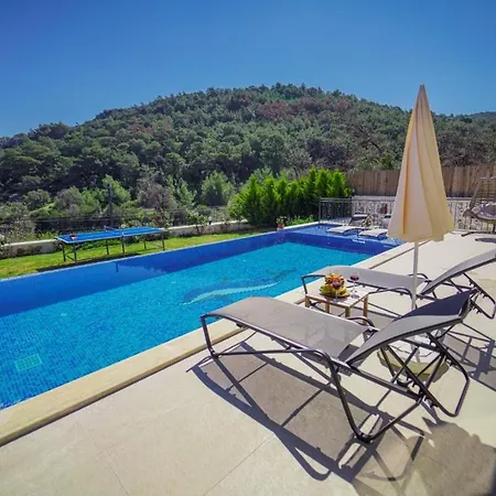 Villa Sarafin *