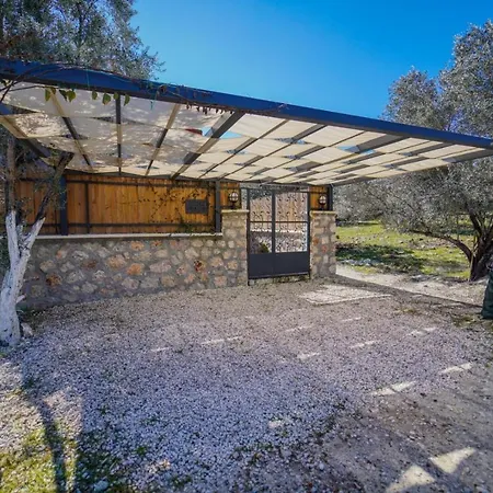 Sarafin Villa